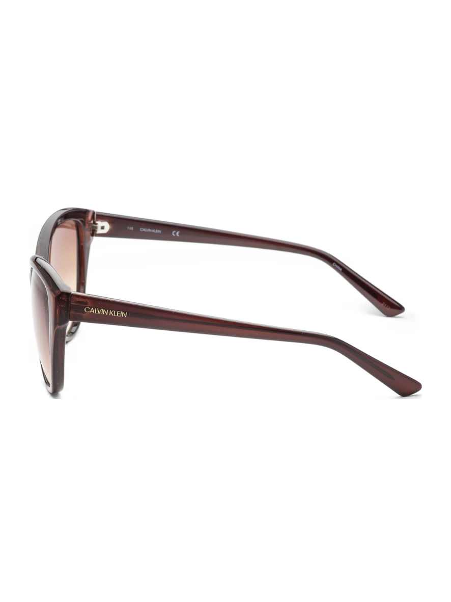 Calvin Klein Women's Cat-Eye Sunglasses Crystal Brown