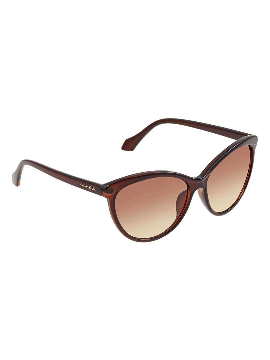 Calvin Klein Women's Cat-Eye Sunglasses Crystal Brown